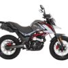 almace-multihogar-MOTOCICLETA DAYTONA DY250 TEKKEN EVO